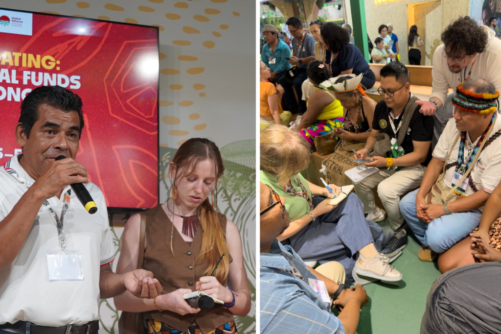 linguistic justice, language support, territorial voices, indigenous peoples, inclusion