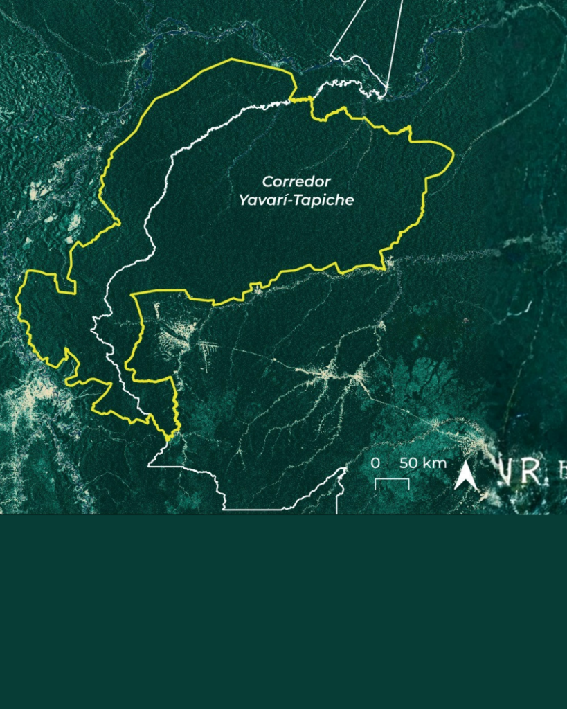 Watch the webinar and explore Indigenous-led solutions to protect the Amazon and uphold territorial rights.