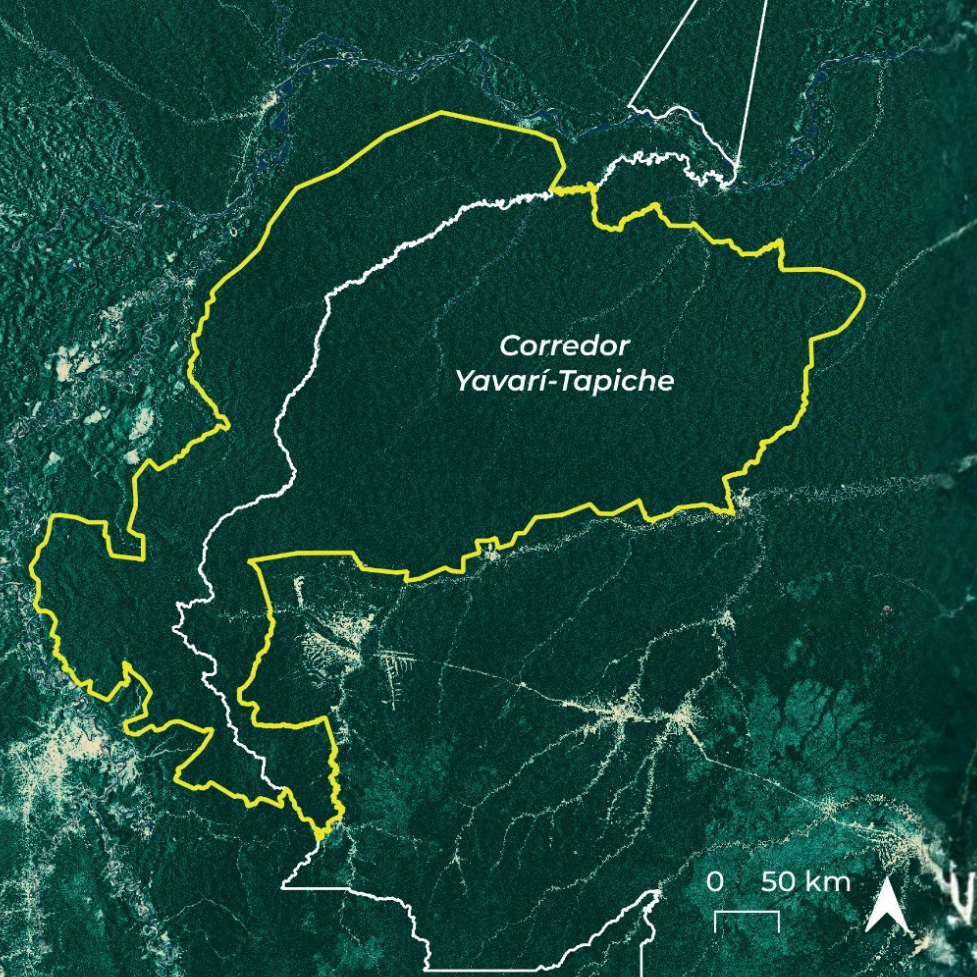 Watch the webinar and explore Indigenous-led solutions to protect the Amazon and uphold territorial rights.